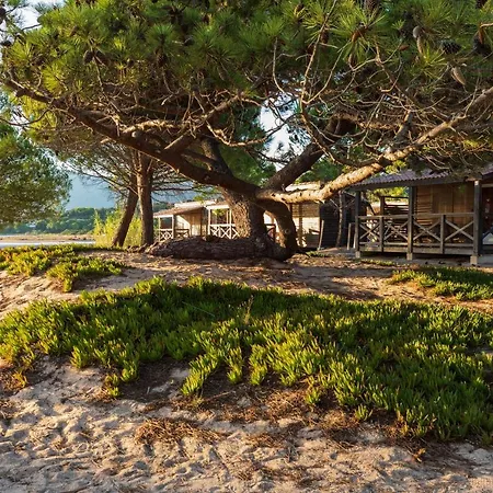 Golfo Di Sogno 4* 维琪奥港