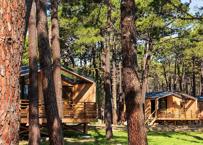 Κάμπινγκ Golfo Di Sogno 4*